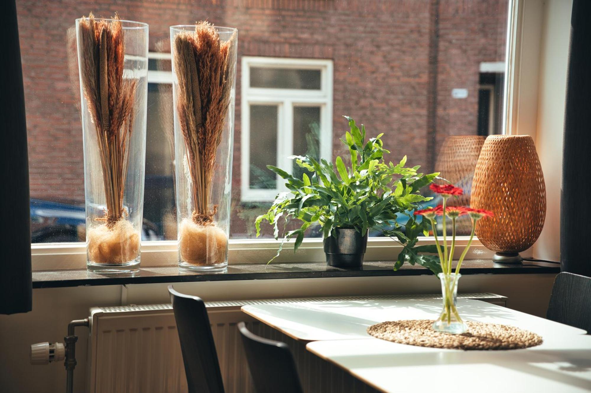 B&B De Hofnar Roermond Dış mekan fotoğraf